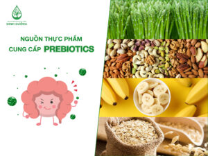 Nguồn thực phẩm cung cấp prebiotic