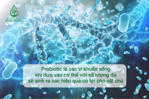 Định nghĩa probiotic theo Tổ chức Y tế Thế giới
