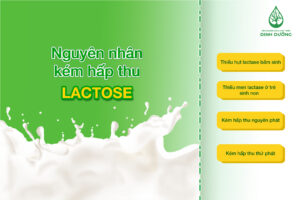 Nguyên nhân kém hấp thu lactose