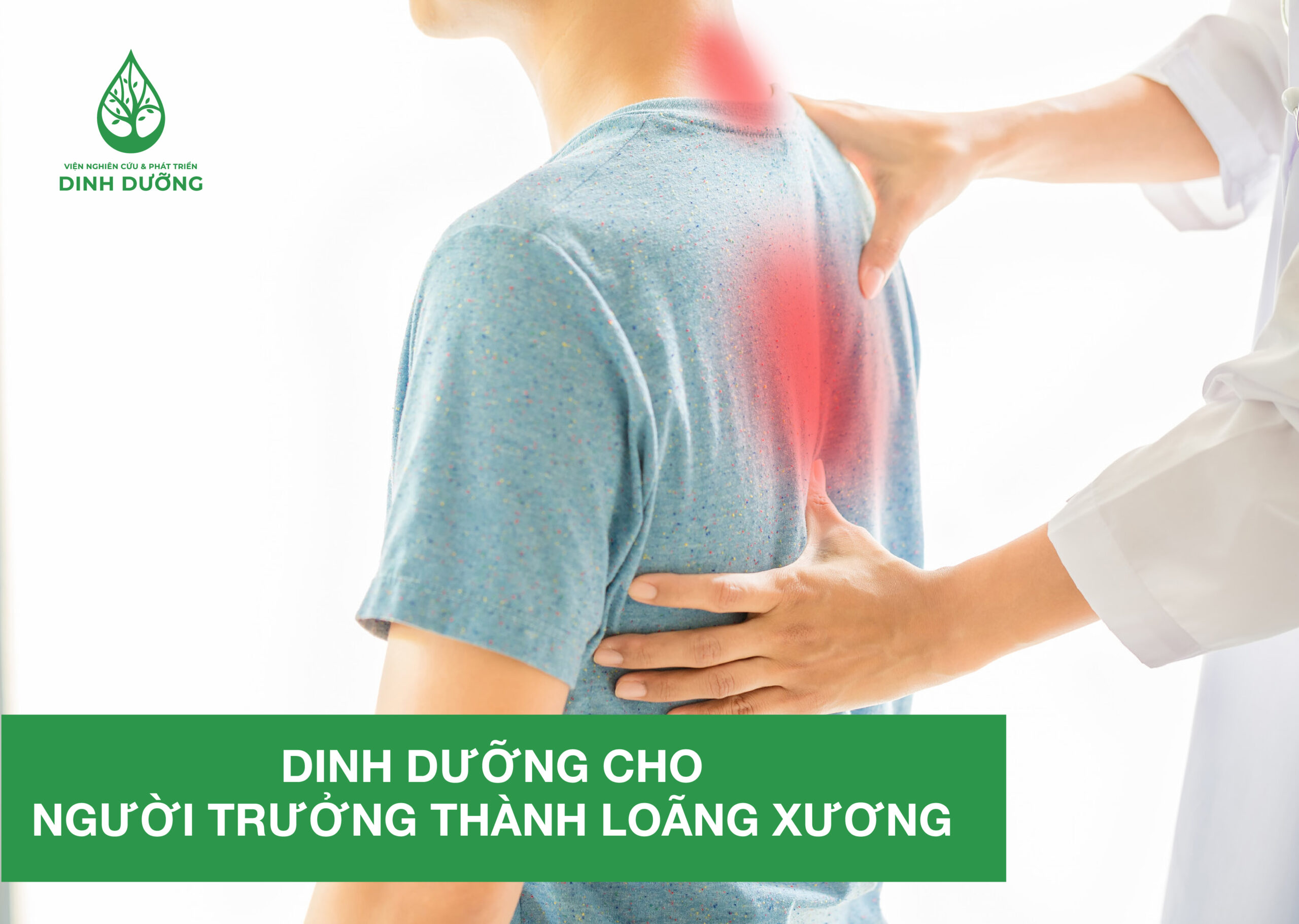 Dinh dưỡng cho người trưởn thành bị loãng xương