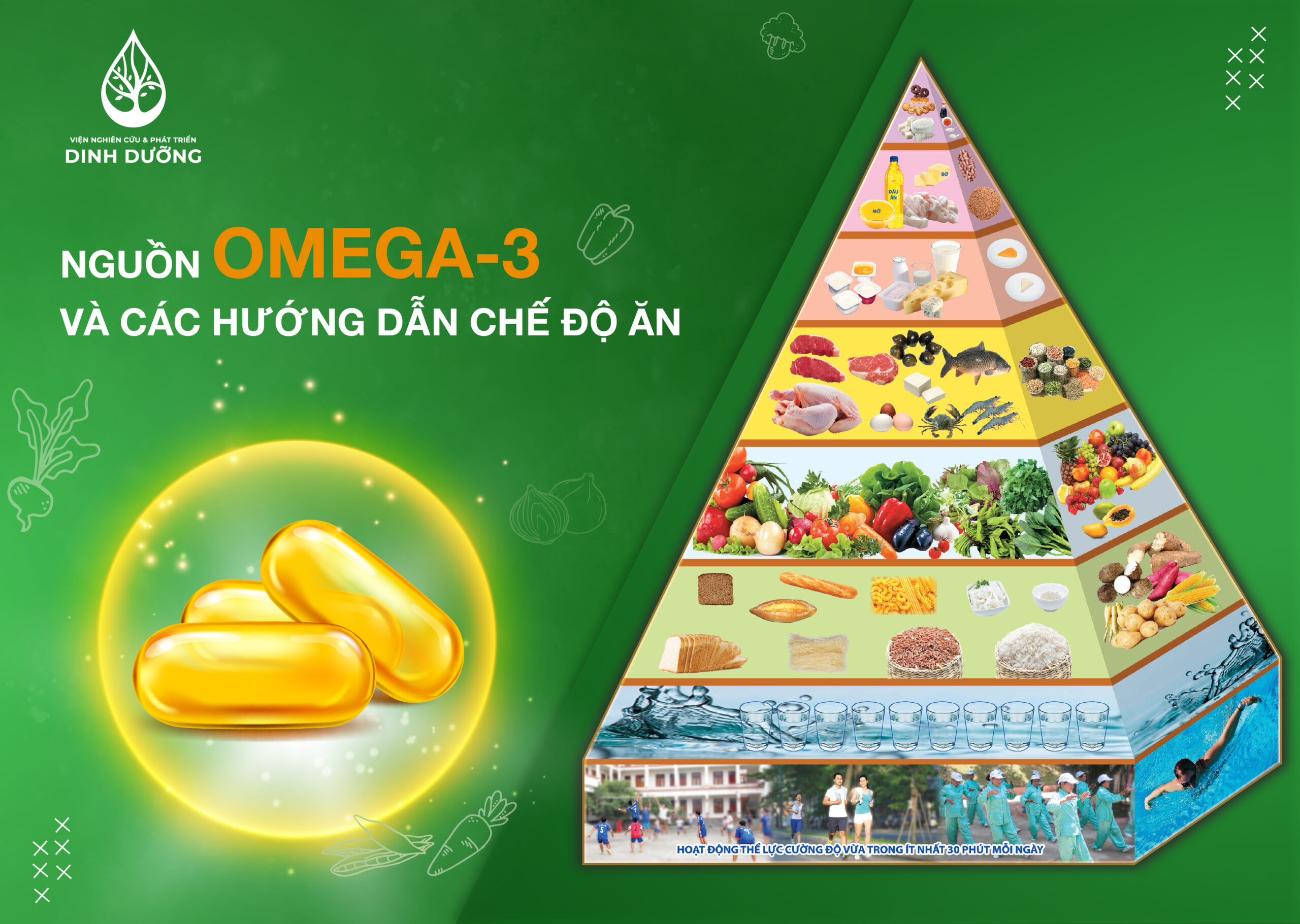 NGUỒN OMEGA-3 VÀ CÁC HƯỚNG DẪN CHẾ ĐỘ ĂN