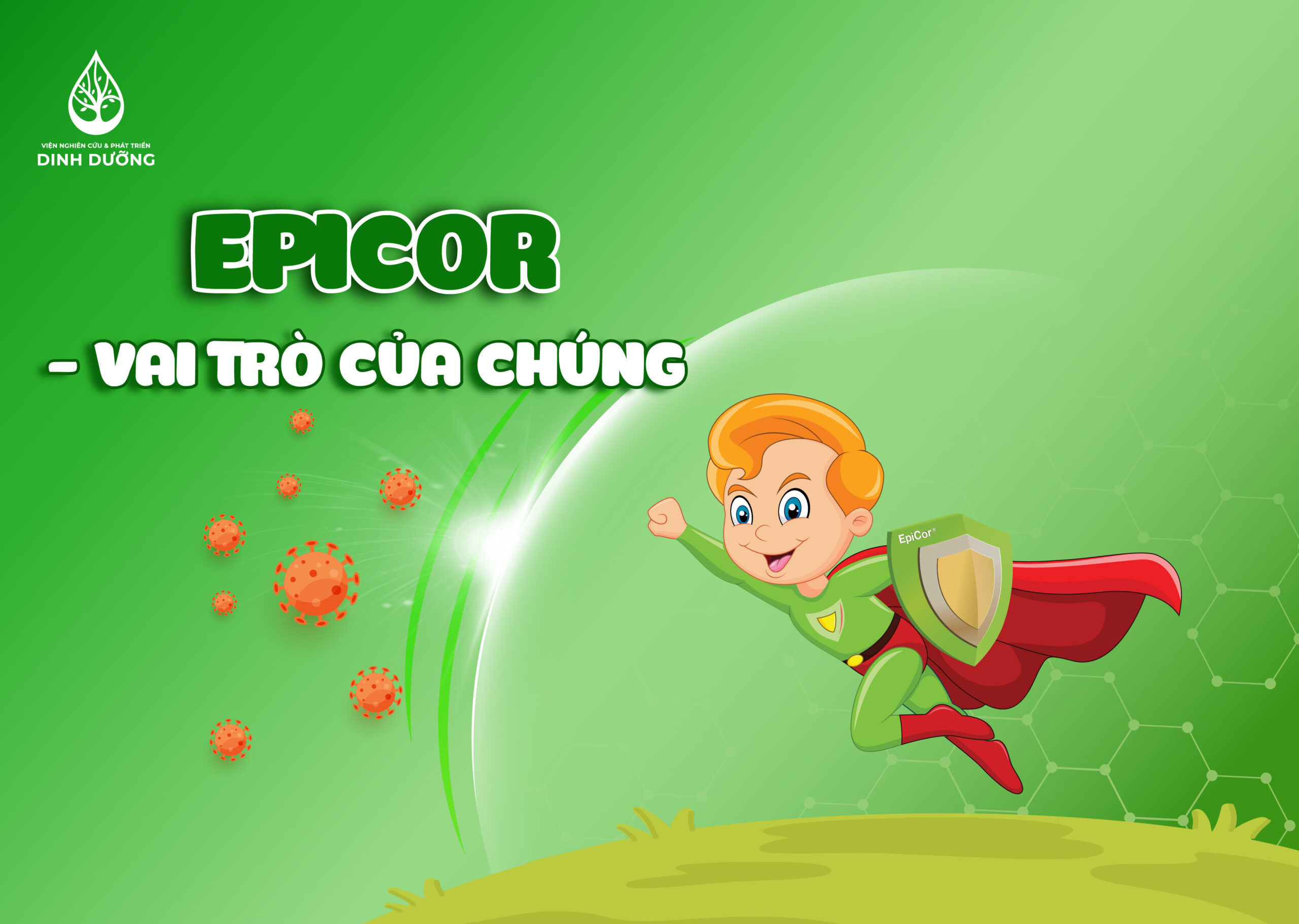 EPICOR - VAI TRÒ CỦA CHÚNG