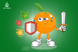 Vai trpf của vitamin C trong tăng cường miễn dịch