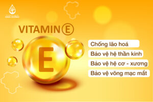 Chức năng chống oxy hoá của vitamin E