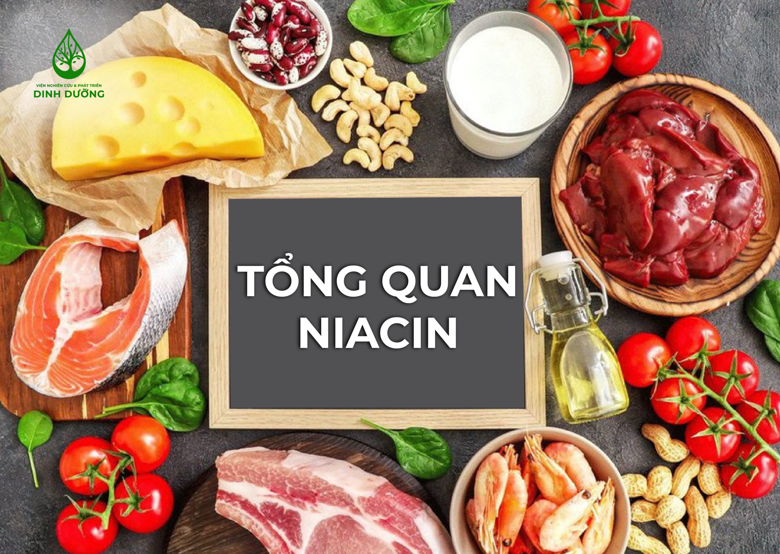 Tổng quan niacin