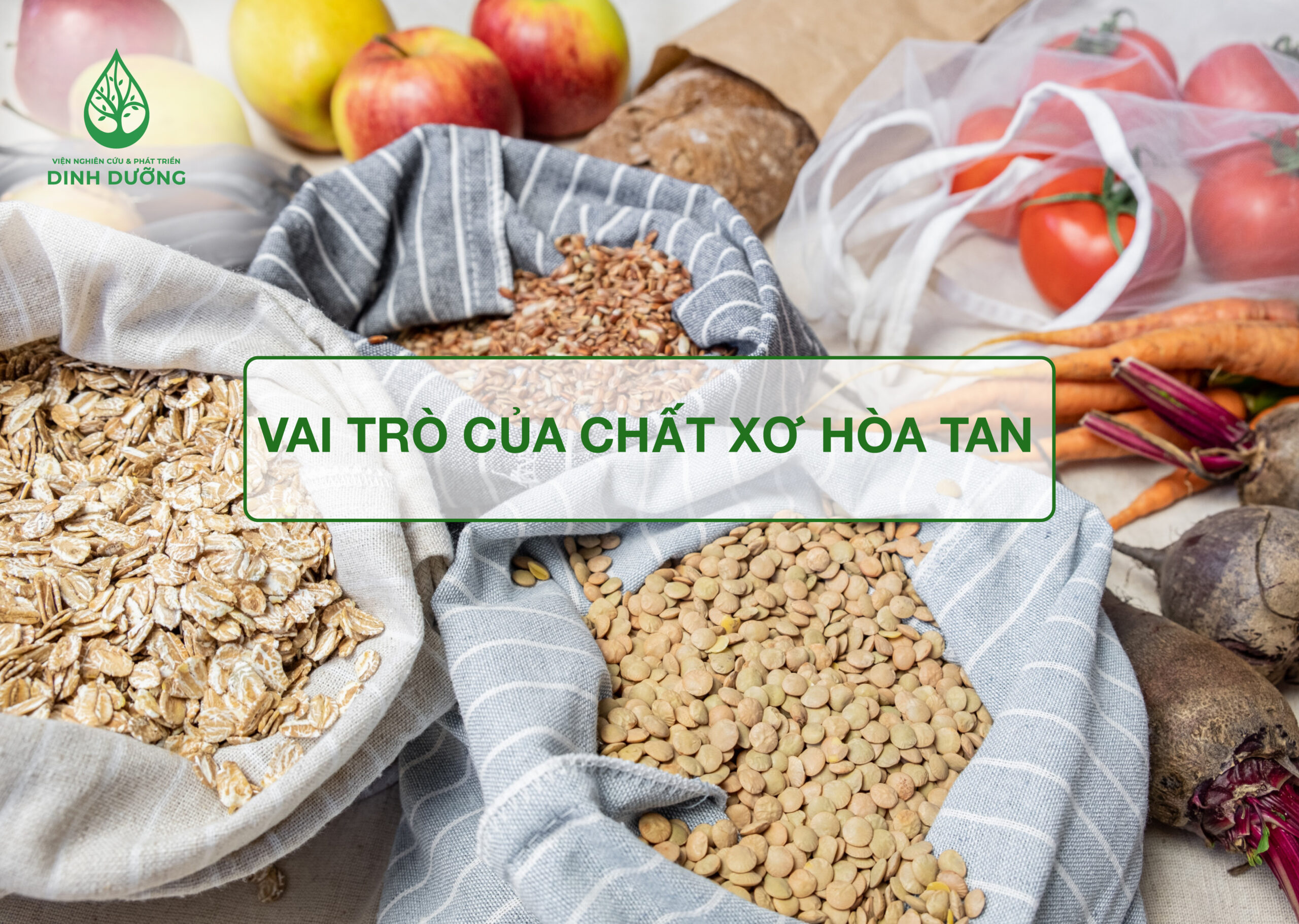 Vai trò của chất xơ hòa tan