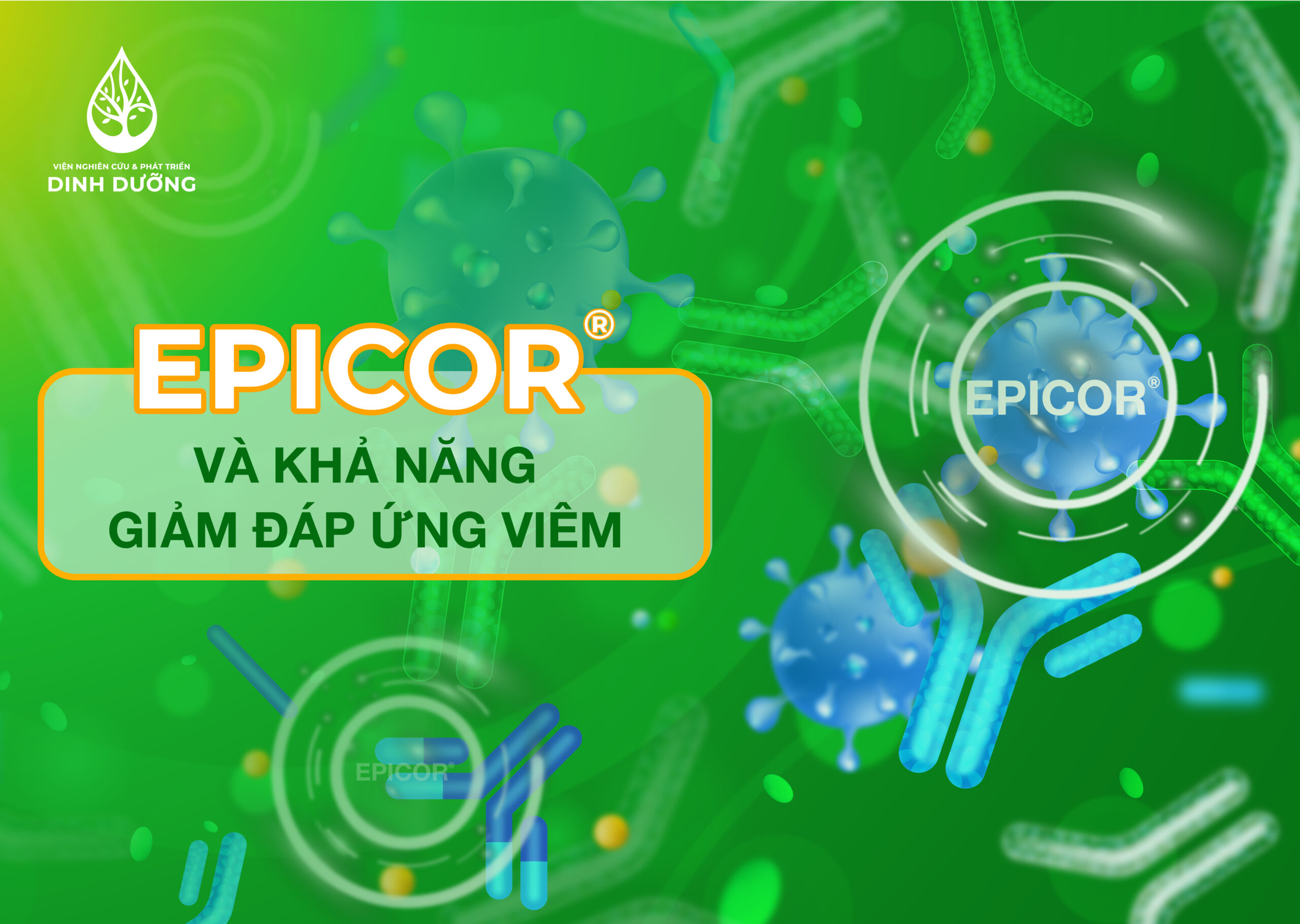 EPICOR® VÀ KHẢ NĂNG GIẢM ĐÁP ỨNG VIÊM