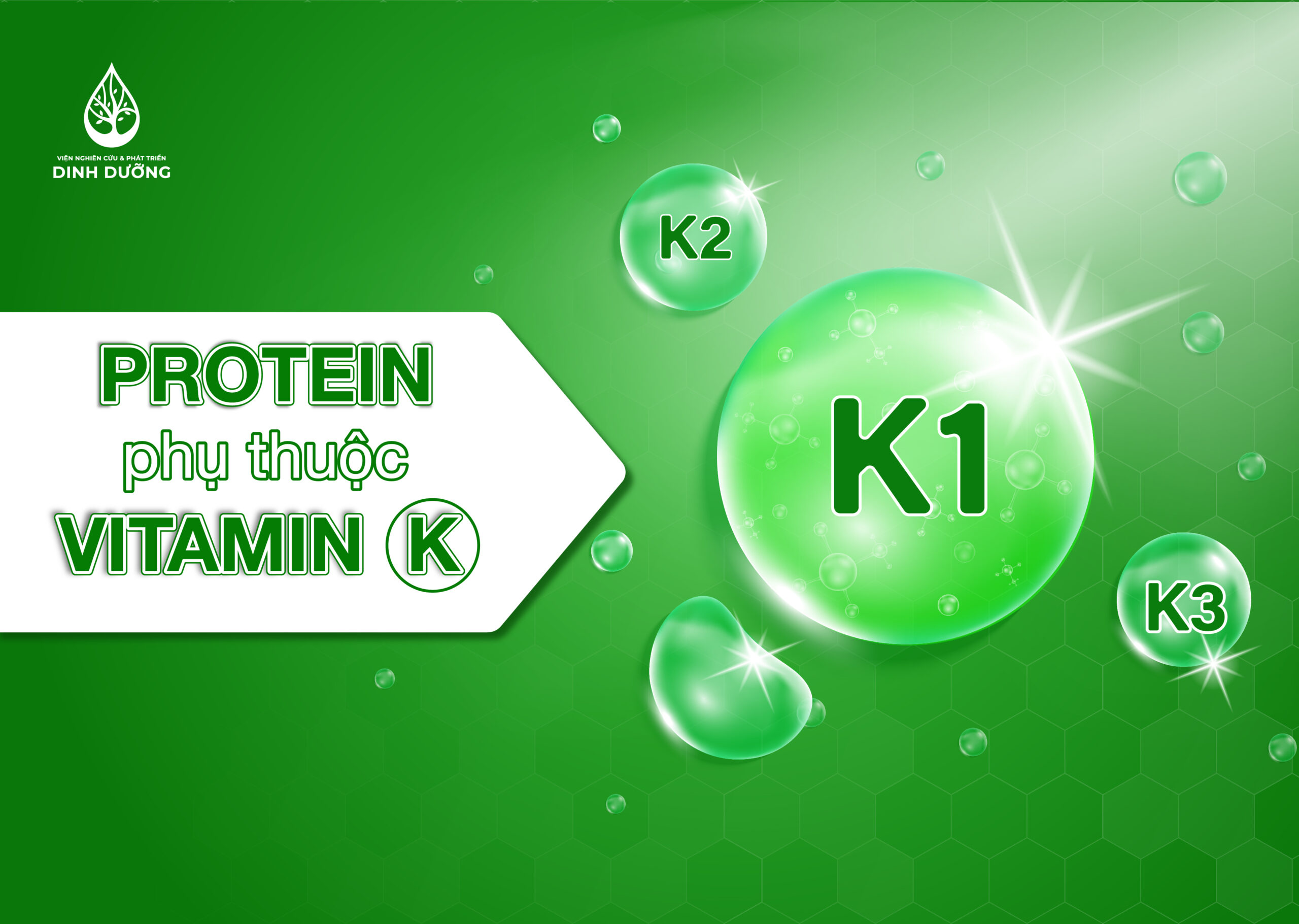 Protein phụ thuộc vitamin K