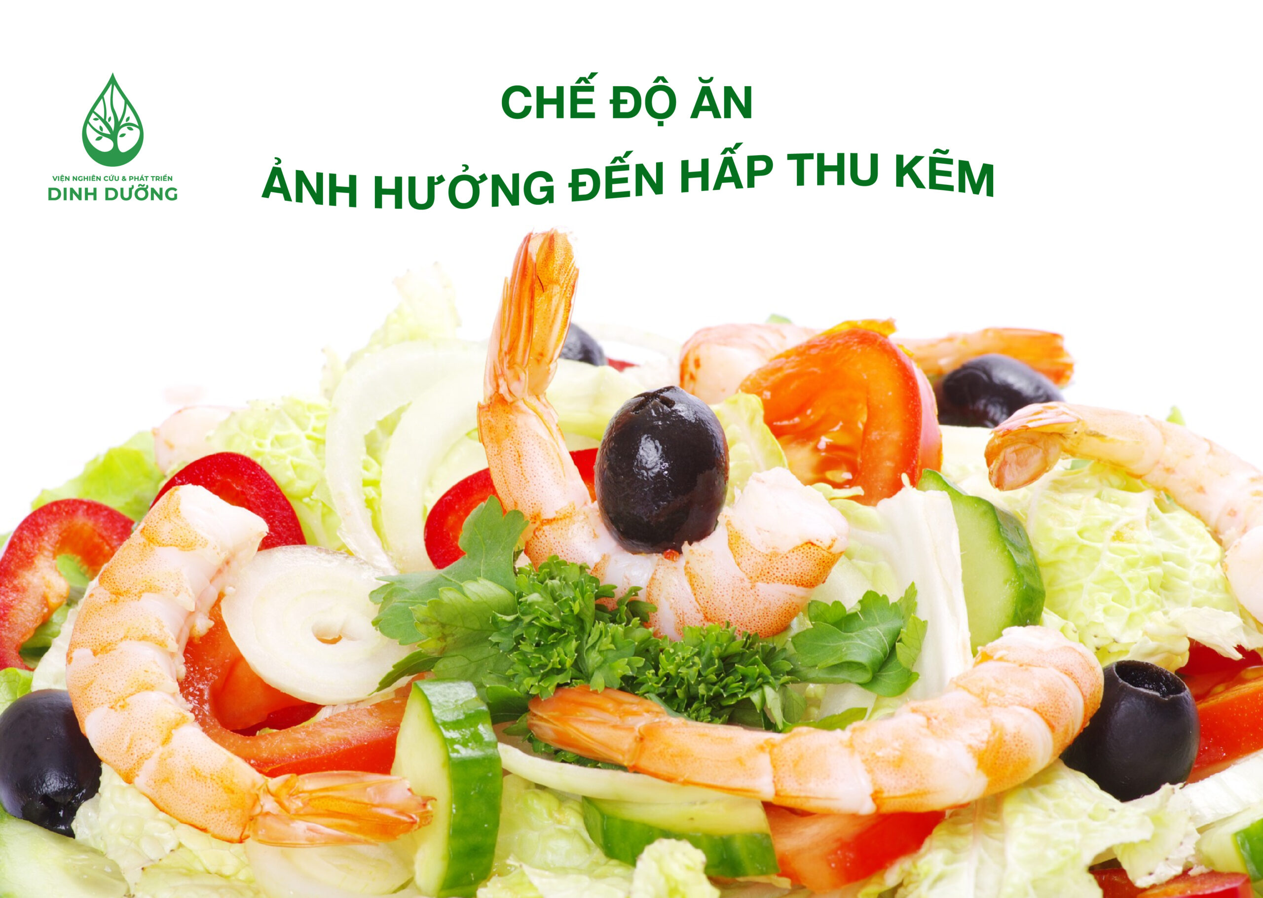 CHẾ ĐỘ ĂN ẢNH HƯỞNG ĐẾN HẤP THU KẼM