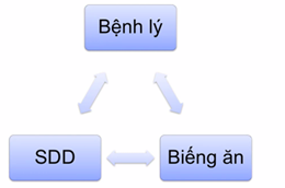 Biếng ăn lâu ngày có thể dẫn đến vòng xoắn