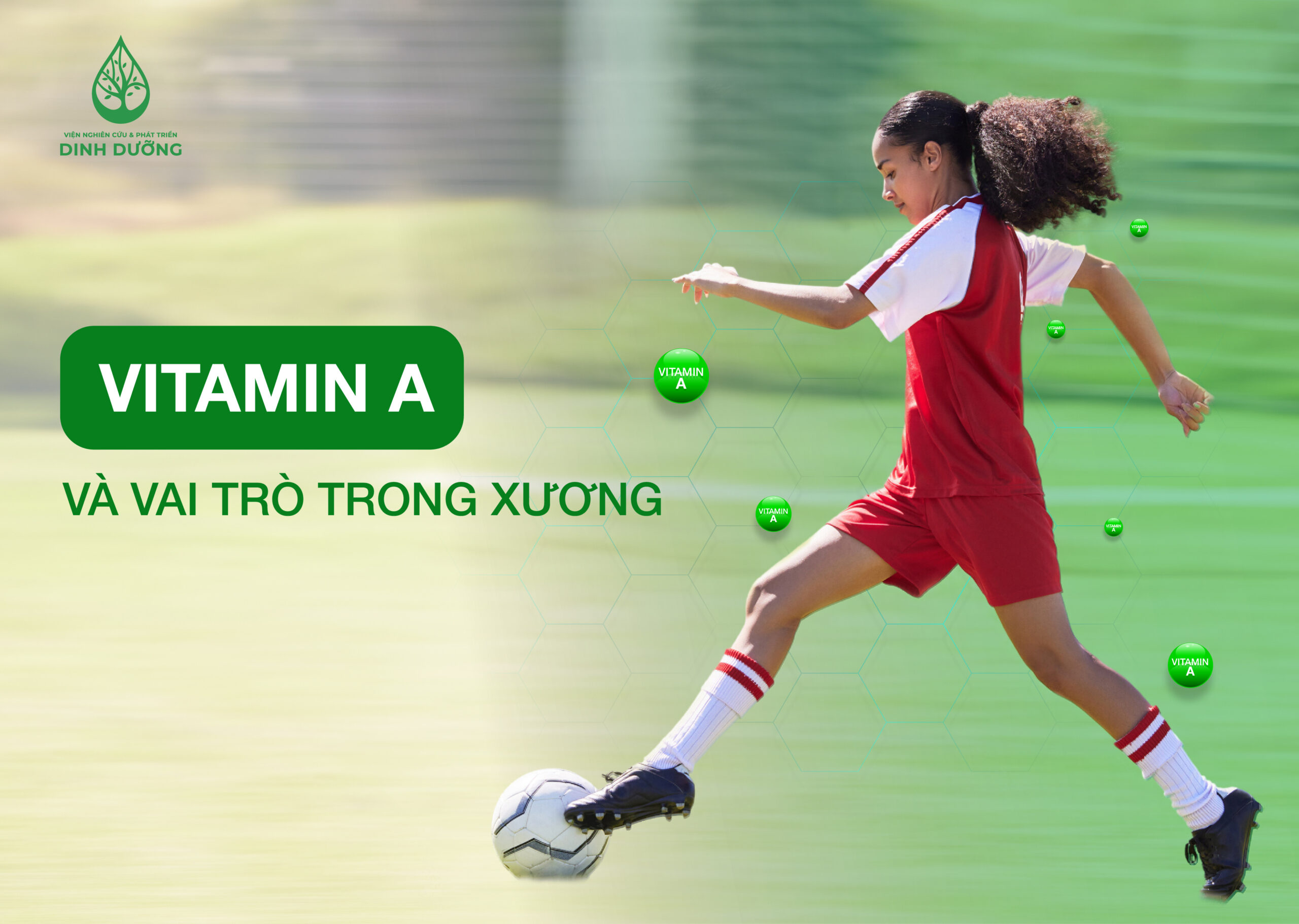 VITAMIN A VÀ VAI TRÒ TRONG XƯƠNG