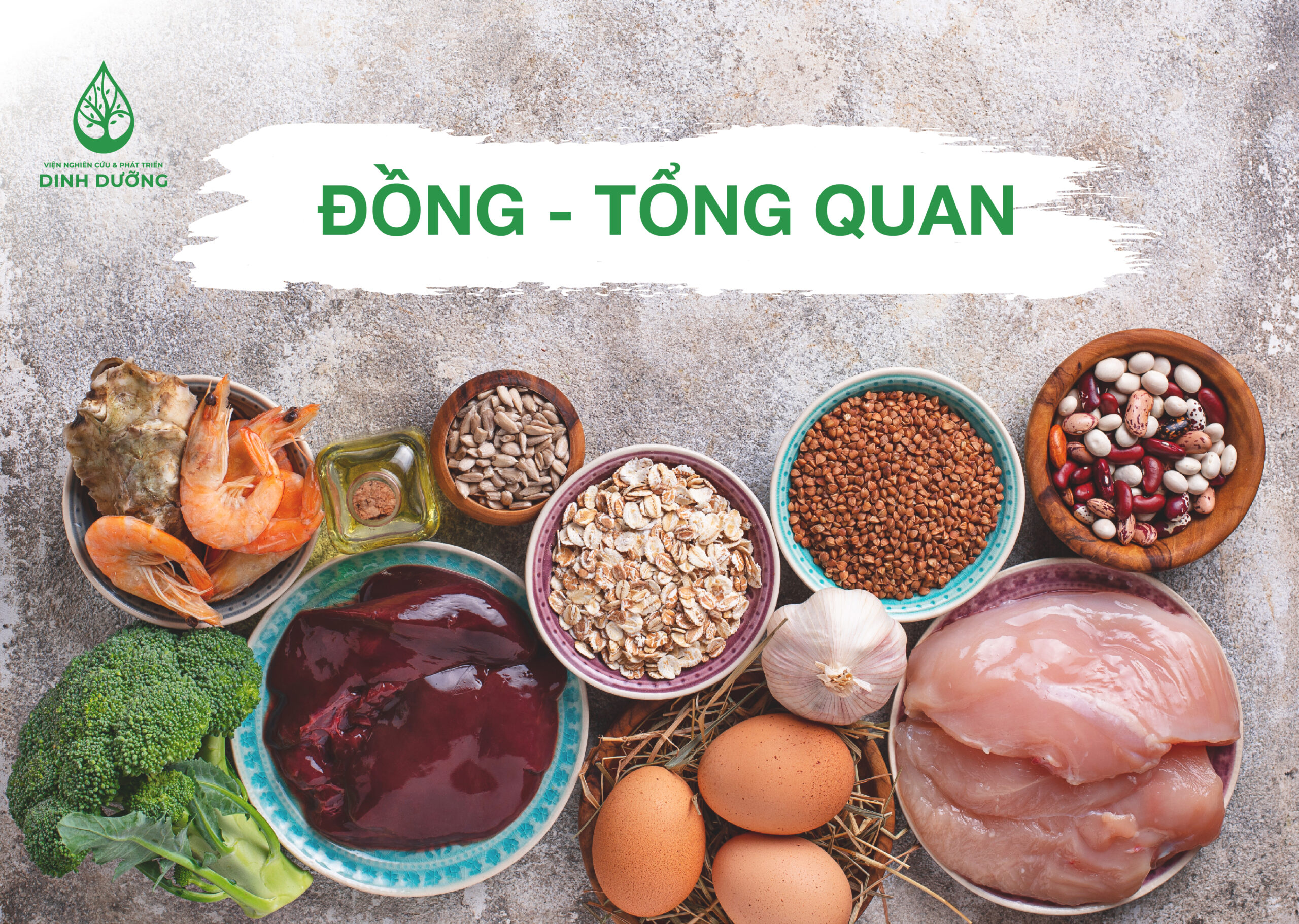 ĐỒNG-TỔNG QUAN VỀ DINH DƯỠNG