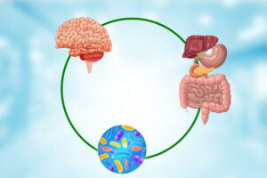 Hệ vi sinh vật đường ruột khỏe mạnh có liên quan đến hoạt động của hệ thần kinh trung ương bình thường thông qua trục não - ruột