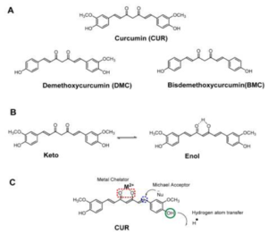 Các cấu trúc hóa học của curcuminoids