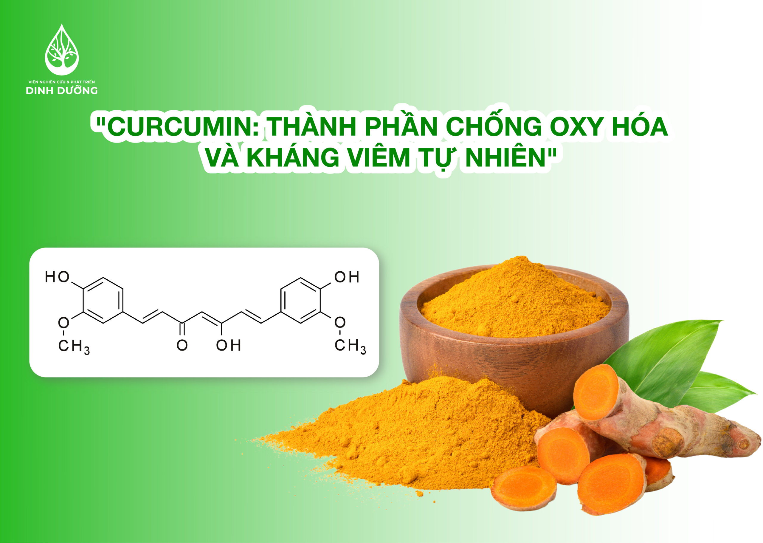 Curcumin: thành phần chống oxy hóa và kháng viêm tự nhiên