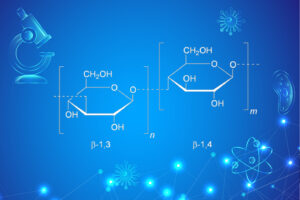 Cấu trúc hóa học beta-glucan
