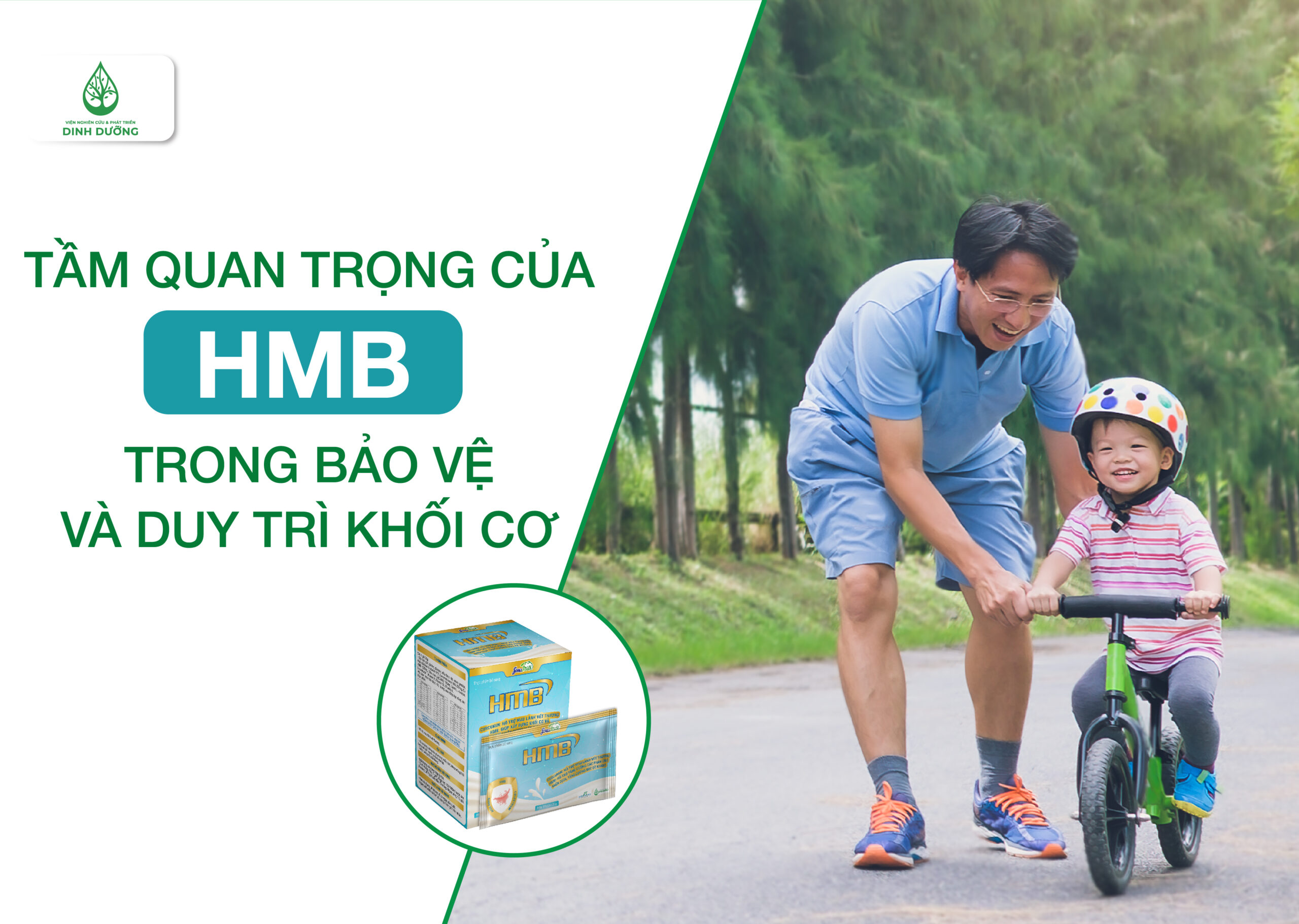 Tầm quan trọng của HMB trong bảo vệ và duy trì khối cơ