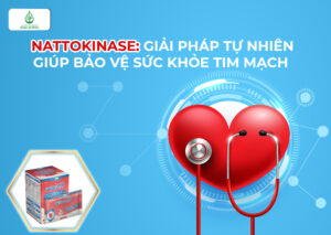 Nattokinase: Giải pháp tự nhiên giúp bảo vệ sức khỏe tim mạch