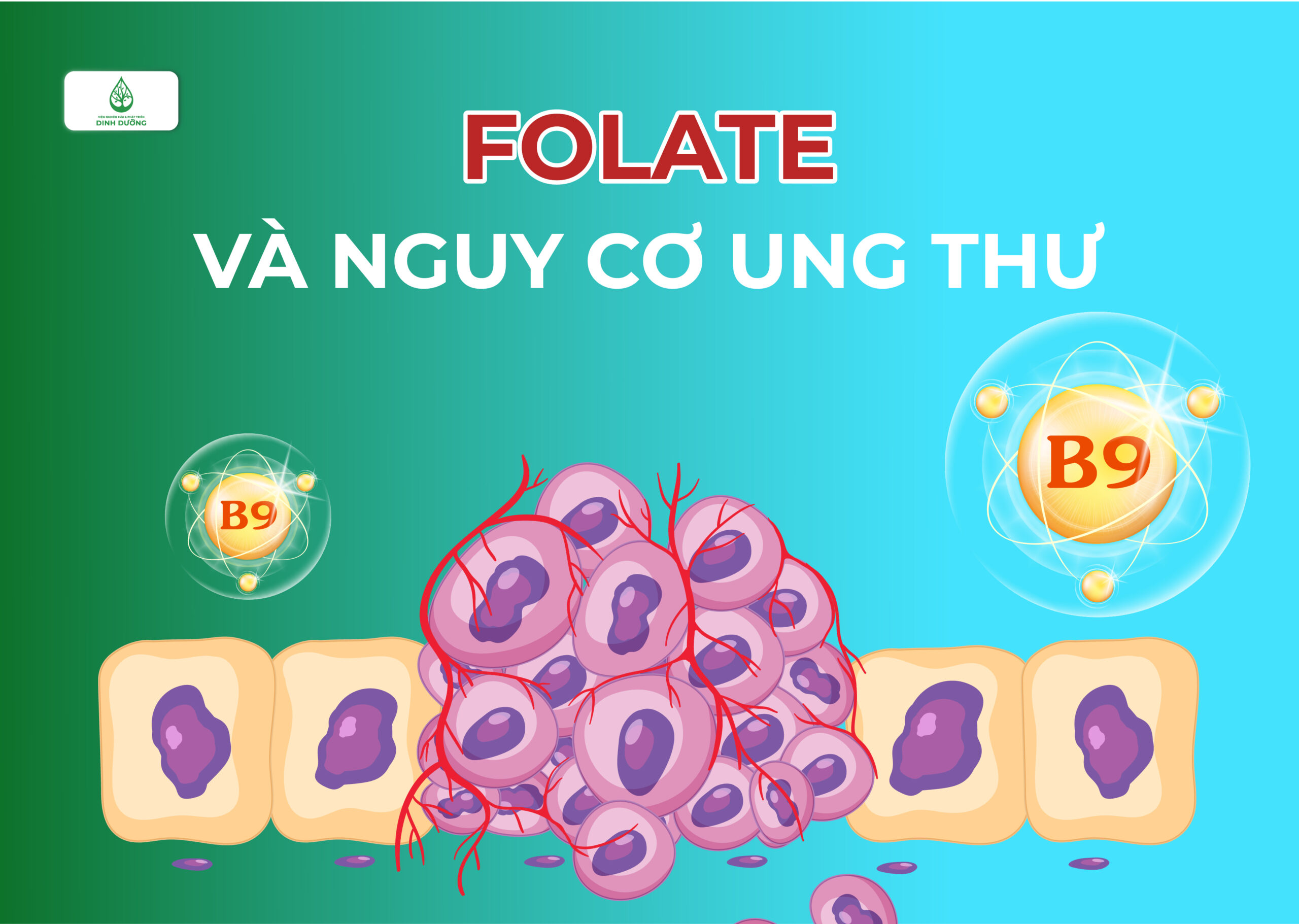 Thiếu folate và nguy cơ ung thư