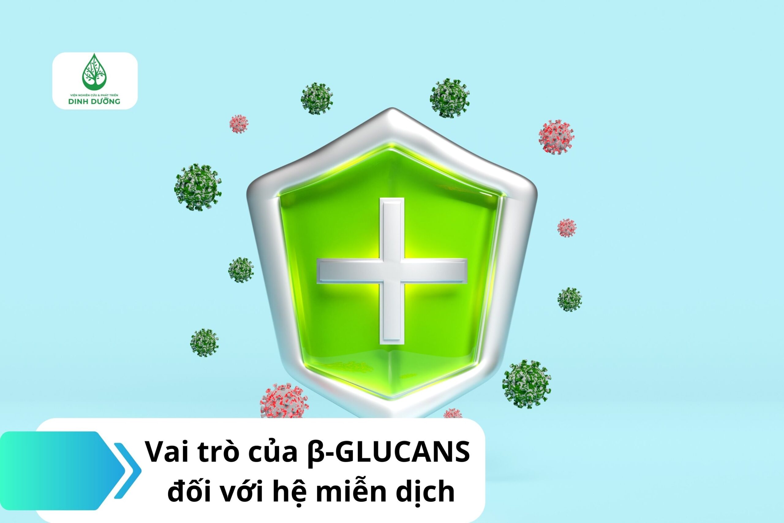 Vai trò của Beta Glucans đối với hệ miễn dịch