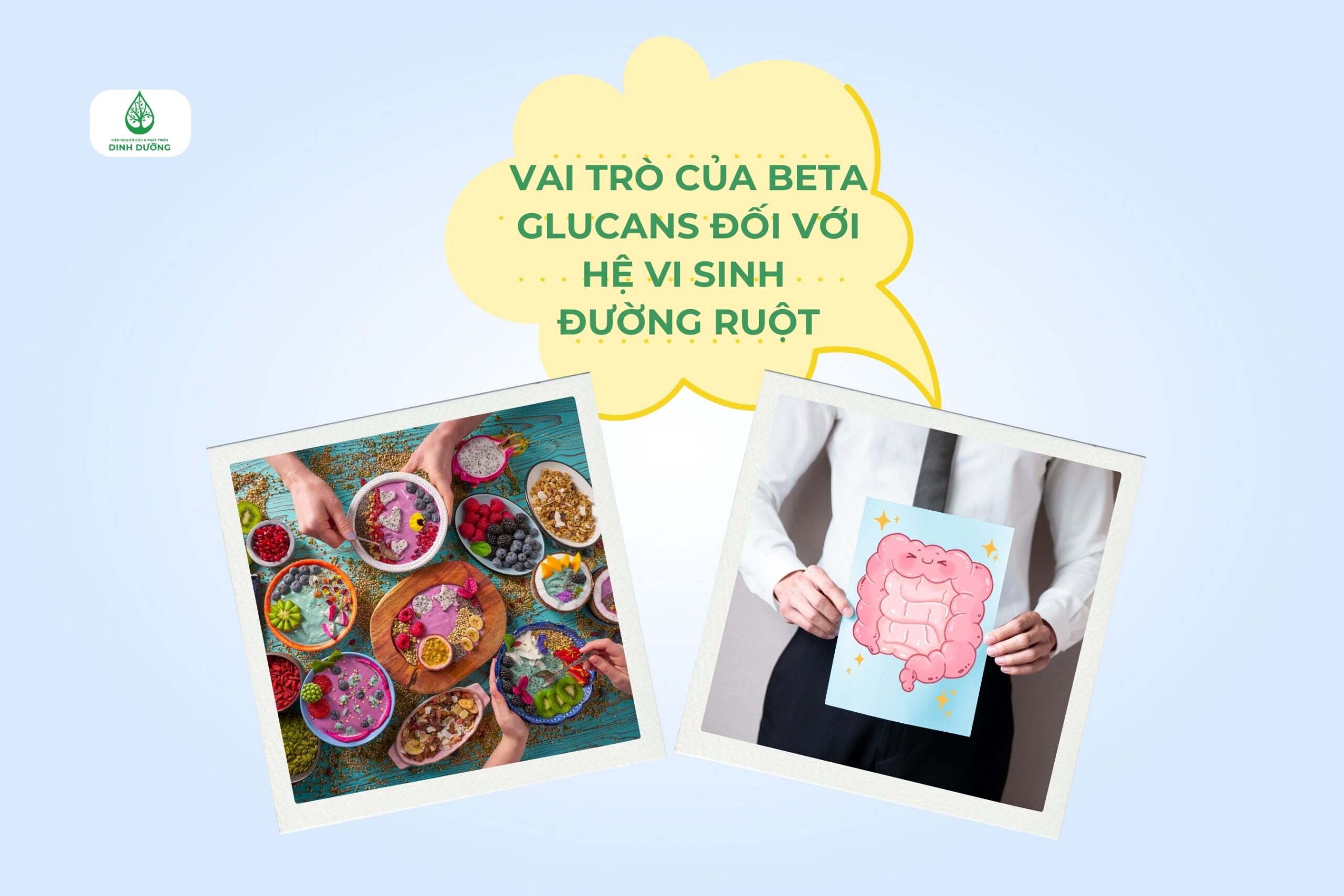 Vai trò của beta glucans đối với hệ vi sinh đường ruột