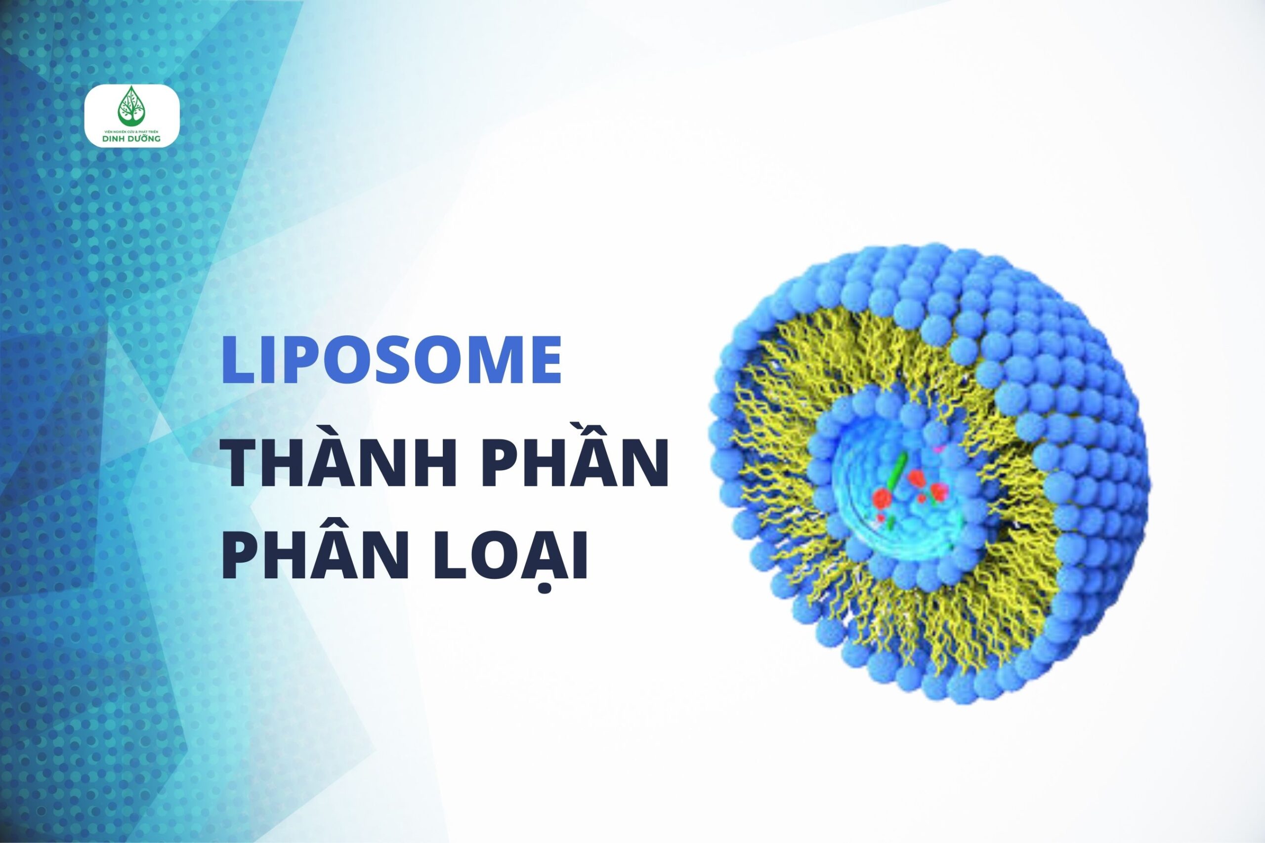 Liposome